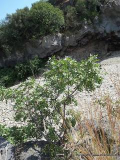 ndolito-07-02-2018 07-40-07